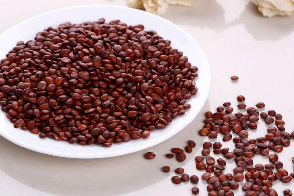 酸棗仁市場價格多少錢一斤 酸棗仁的功效作用