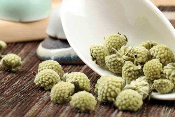 綠蘿花有毒嗎 綠蘿能放在室內臥室嗎