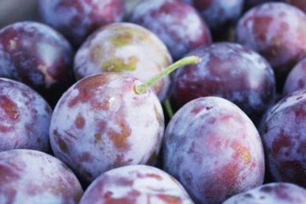 西梅的功效與作用及禁忌 西梅營養價值