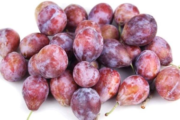 西梅的功效與作用及禁忌 西梅營養價值