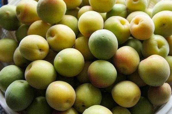 梅子酵素的做法 梅子酵素對減肥有用嗎