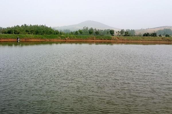 魚塘怎么消毒 魚塘種什么水草