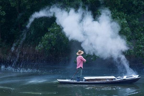 魚塘怎么消毒 魚塘種什么水草