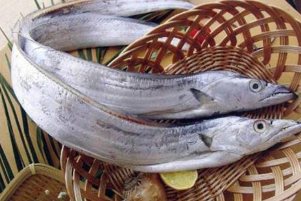 帶魚怎么炸好吃 帶魚不炸直接燉行嗎