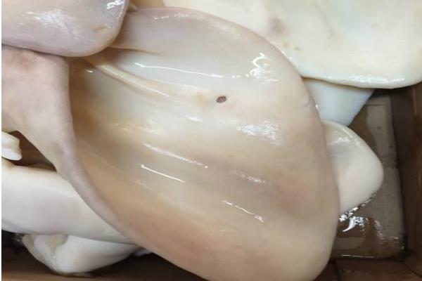 牛耳朵怎么做好吃又簡單 牛耳朵營養價值