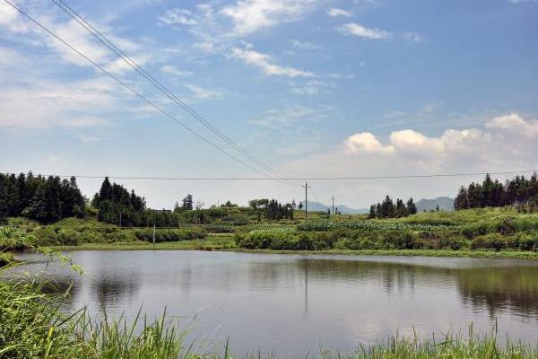 魚塘怎么挖 魚塘藍藻怎么治理