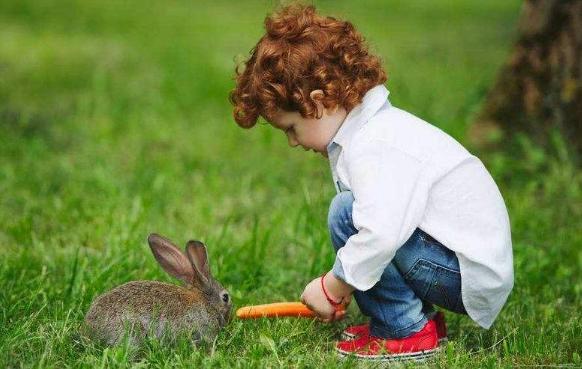 家里養兔子的危害 養兔子對小孩的危害