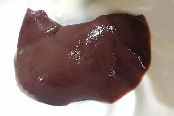 豬肝怎么洗才干凈 新鮮豬肝怎么保存