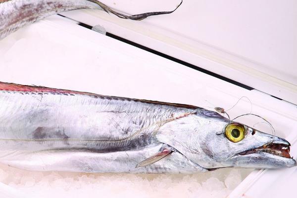 帶魚怎么做好吃又簡單 帶魚的家常做法大全