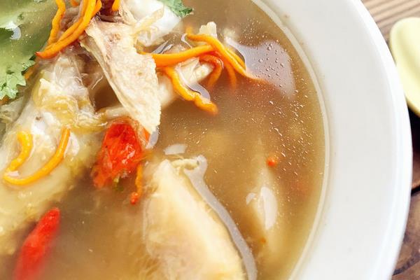 雞肉燉什么最補 雞肉用什么燉最好