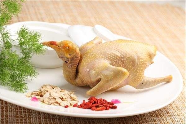 鴿子肉怎么做好吃又簡單 鴿子肉的功效與作用