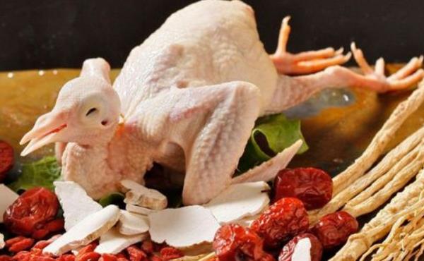 鴿子肉怎么做好吃又簡單 鴿子肉的功效與作用