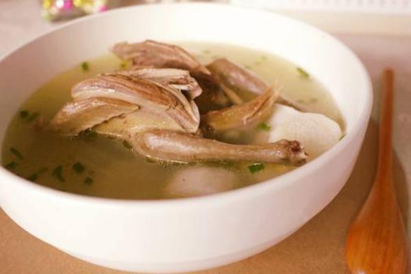 乳鴿湯怎么做好吃又簡單 鴿子湯用老鴿還是乳鴿