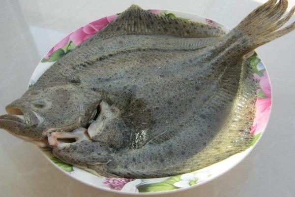 清蒸多寶魚怎么做好吃 多寶魚蒸多久