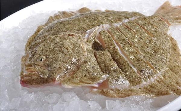 多寶魚市場價格多少錢一斤 多寶魚怎么處理