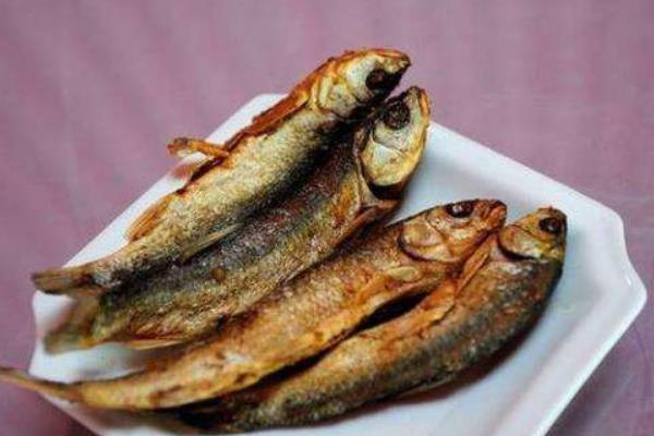 沙漠魚是什么 沙漠魚能吃嗎