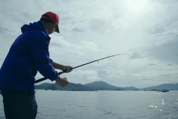 淡水銀鱈魚怎么釣 釣銀鱈魚用什么餌料