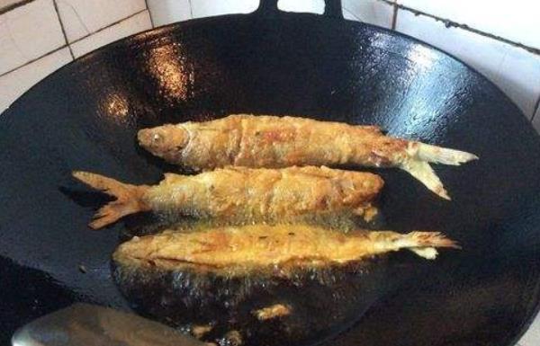 白條魚怎么釣 釣白條魚餌料配方