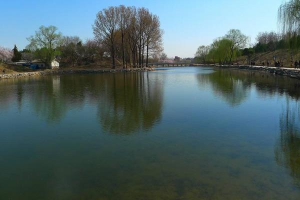 鮰魚怎么養 鮰魚養殖技術與注意事項