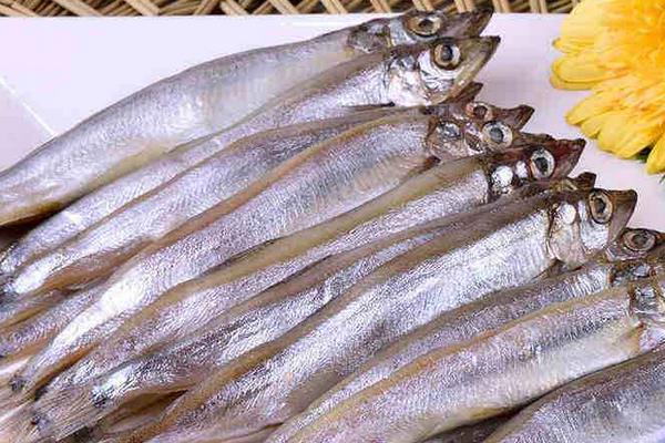 多春魚功效與作用 多春魚的營(yíng)養(yǎng)價(jià)值