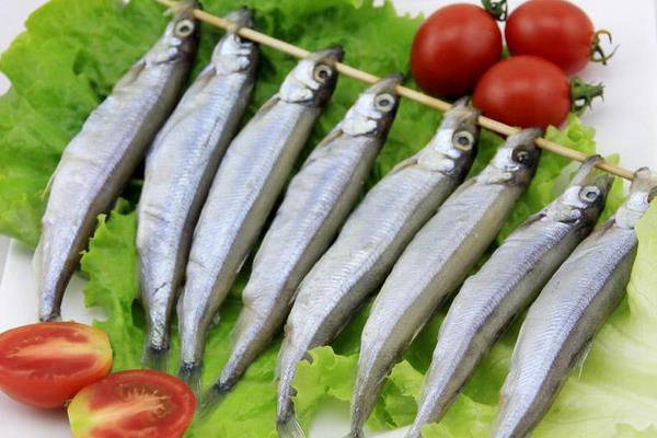 多春魚功效與作用 多春魚的營(yíng)養(yǎng)價(jià)值