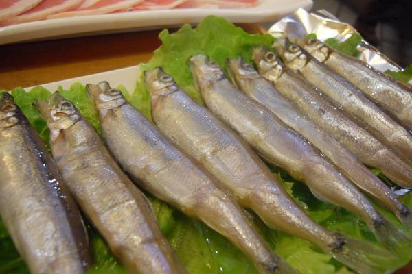 多春魚功效與作用 多春魚的營(yíng)養(yǎng)價(jià)值