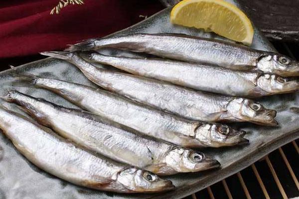 多春魚(yú)是海魚(yú)嗎 多春魚(yú)的危害是什么