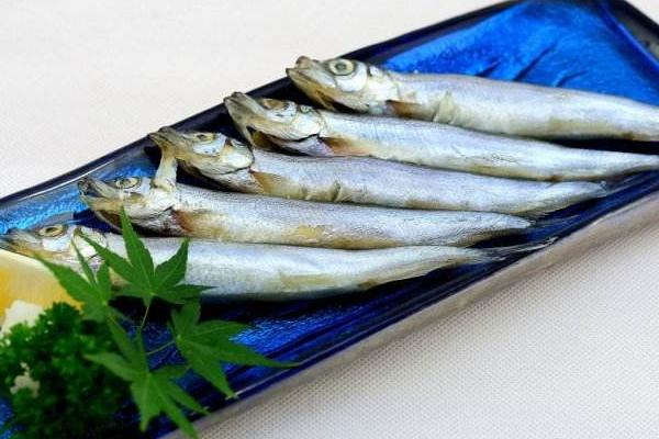 多春魚(yú)是海魚(yú)嗎 多春魚(yú)的危害是什么