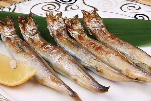 多春魚(yú)是海魚(yú)嗎 多春魚(yú)的危害是什么