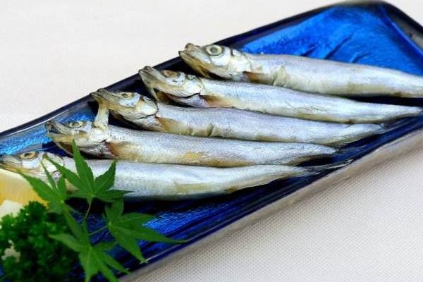 多春魚市場價格多少錢一斤 多春魚的營養(yǎng)價值