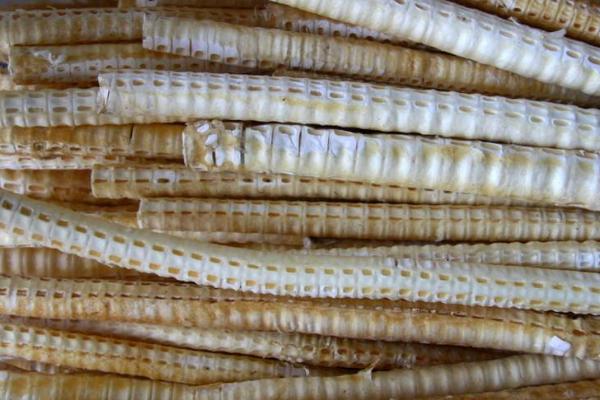 鯊魚骨市場價格多少錢一斤 鯊魚骨怎么做好吃