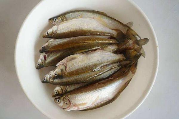 白條魚怎么吃 白條魚怎么做好吃又簡單