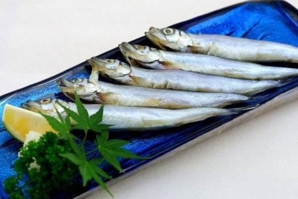 多春魚是什么魚 多春魚產地在哪里