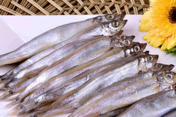 多春魚是什么魚 多春魚產地在哪里