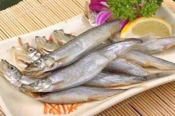 多春魚是什么魚 多春魚產地在哪里