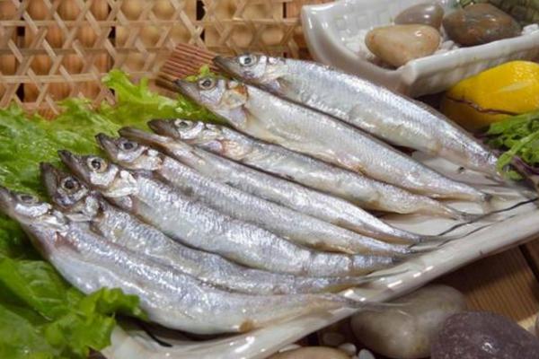 多春魚是什么魚 多春魚產地在哪里