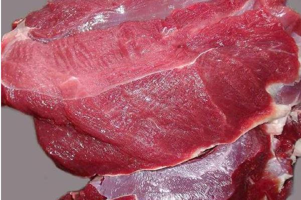 女人、孕婦能吃鹿肉嗎 鹿肉不能和什么一起吃