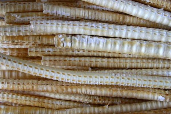 鯊魚骨的功效與作用及禁忌 鯊魚骨怎么吃