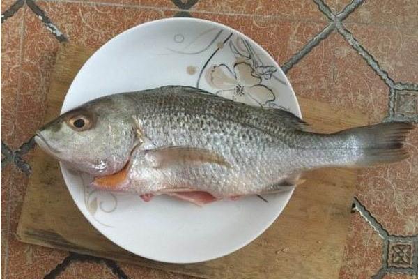白姑魚市場(chǎng)價(jià)格多少錢一斤 白姑魚的營(yíng)養(yǎng)價(jià)值