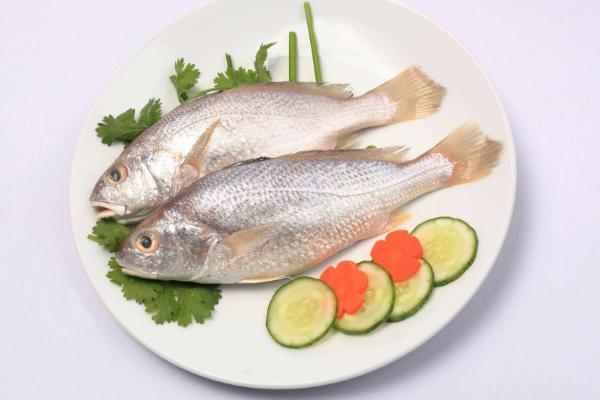 白姑魚市場(chǎng)價(jià)格多少錢一斤 白姑魚的營(yíng)養(yǎng)價(jià)值