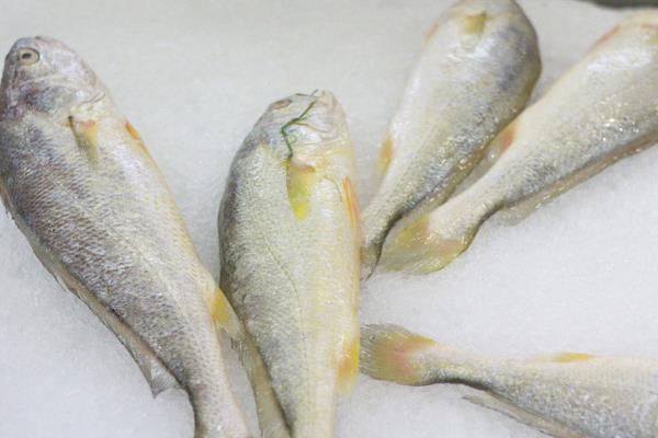 黃花魚(yú)怎么吃 黃花魚(yú)要蒸多久