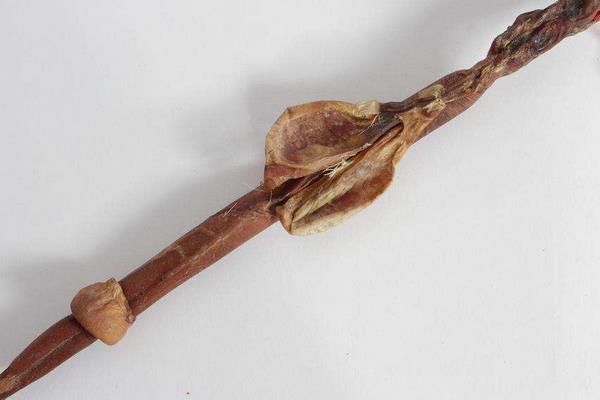 吃鹿鞭能壯陽嗎 吃鹿鞭多長時間見效