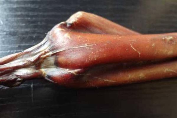 吃鹿鞭能壯陽嗎 吃鹿鞭多長時間見效