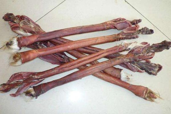 吃鹿鞭能壯陽嗎 吃鹿鞭多長時間見效