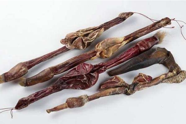 吃鹿鞭能壯陽嗎 吃鹿鞭多長時間見效