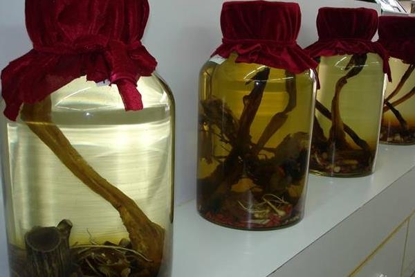 吃鹿鞭能壯陽嗎 吃鹿鞭多長時間見效