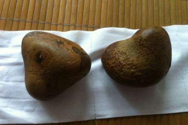 驢吃什么 驢寶是什么