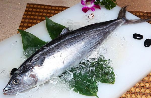 馬鮫魚市場價格多少錢一斤 馬鮫魚怎么做好吃又簡單