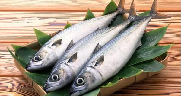 馬鮫魚市場價格多少錢一斤 馬鮫魚怎么做好吃又簡單