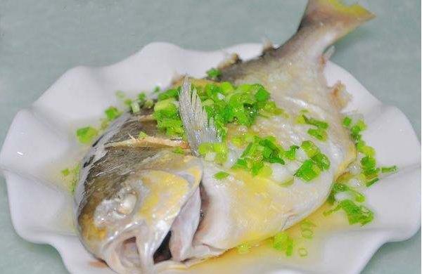 金鯧魚和銀鯧魚哪個好 金鯧魚怎么處理
